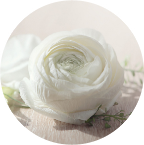 トリートメント