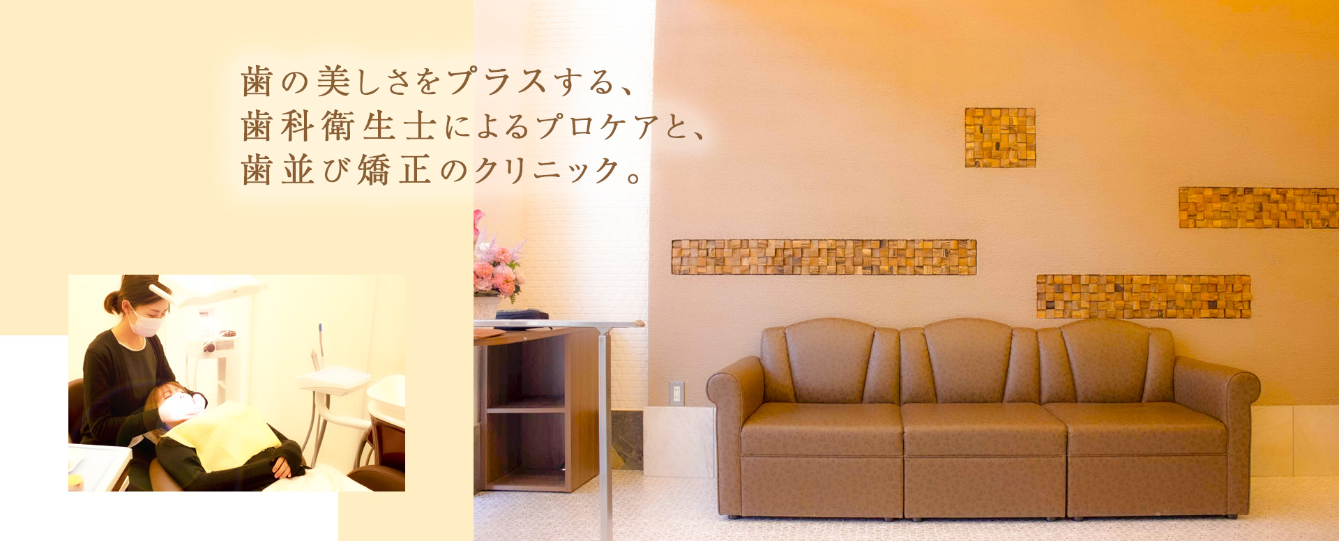 エムズ歯科プラスは歯の美しさをプラスする歯科衛生士によるプロケアと、歯並び矯正のクリニック